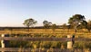 Lovedale Farm