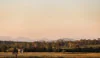 Lovedale Farm