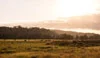 Lovedale Farm
