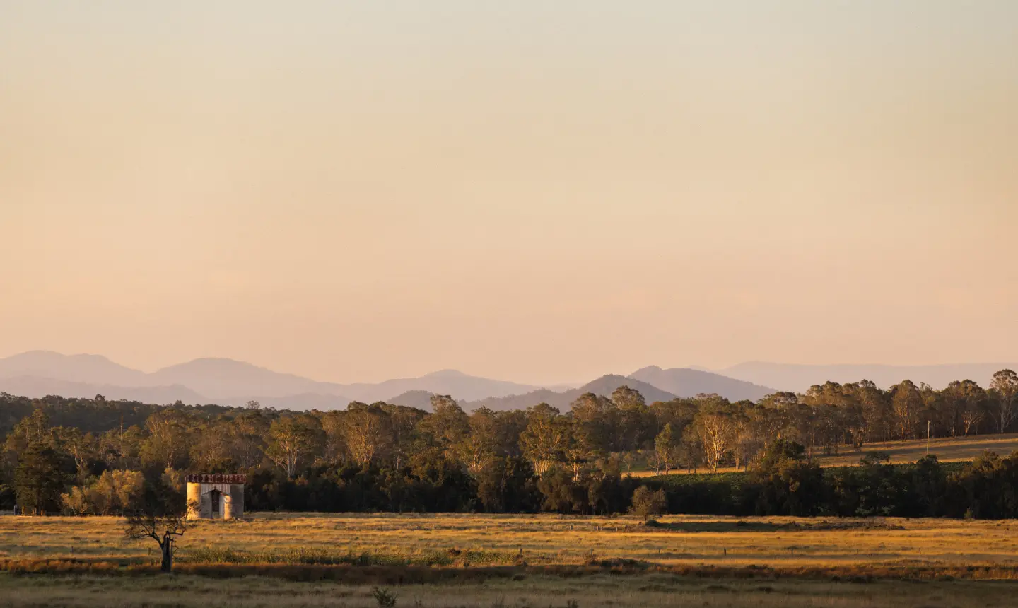 Lovedale Farm