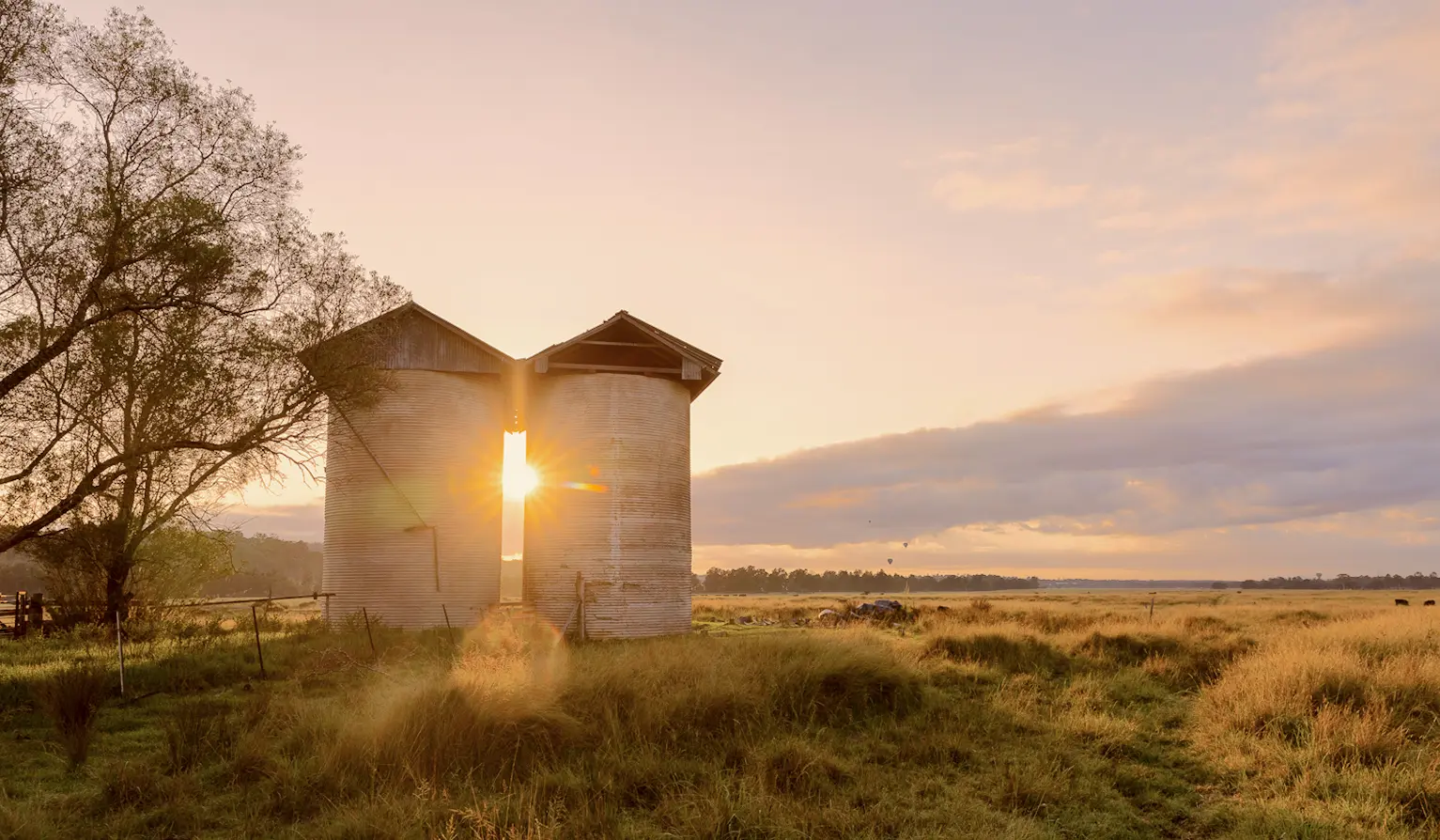 Lovedale Farm